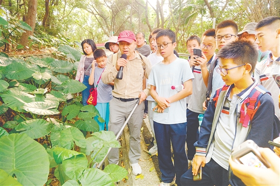 学生们实地观察并学习中草药知识。