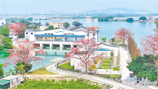 升级改造后的睦洲水闸焕然一新。