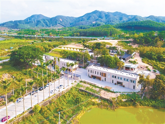 天湖村整合盘活闲置天湖小学旧址及山林地，壮大村集体经济。