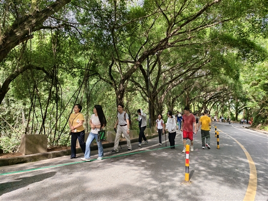 参赛职工沿着蜿蜒山道健步前行，在畅快运动的同时，沉浸式领略大雁山的秀美风光。