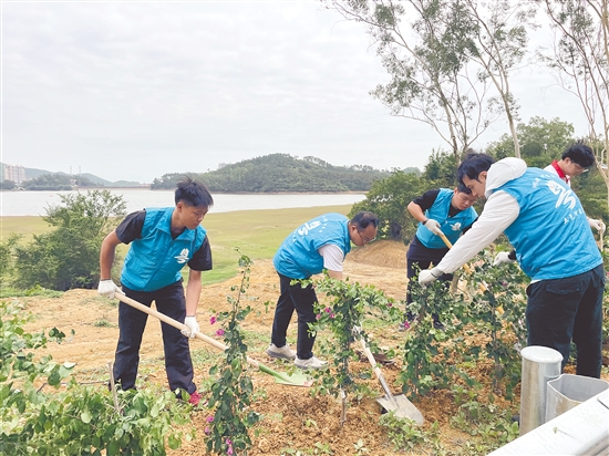 活动在环湖碧道沿线种下1000棵簕杜鹃，勾勒出一道清新靓丽的生态风景线。