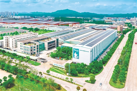 台城街道以“开局即冲刺”的姿态，锚定更高目标，谋划新一轮高质量发展。