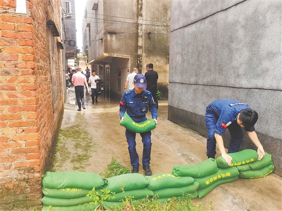 恩平市三防指挥部迅速启动防汛Ⅳ级应急响应，各部门、各镇（街）迅速响应，全力保障城市运行安全有序，筑牢防汛安全屏障。