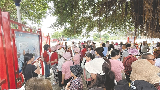 崖门镇横水村吸引大批湾区游客前来游玩、采购农产品。