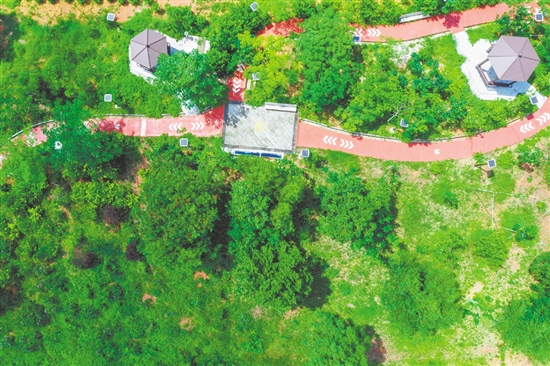 绿意盎然的生态小公园。
