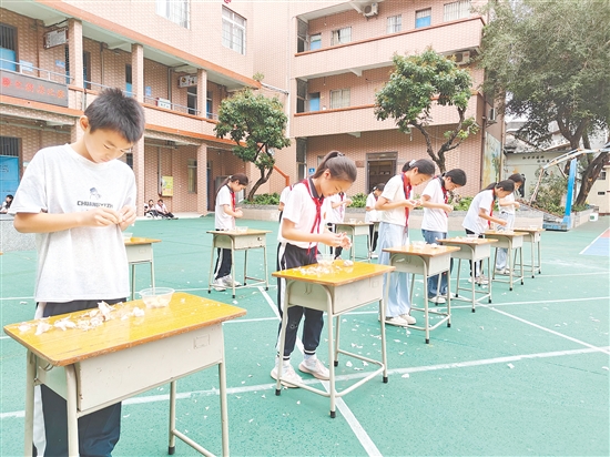 三、四年级举行剥蒜比赛，小选手们捏松蒜衣，一点点撕去外皮，雪白饱满的蒜瓣纷纷现身。