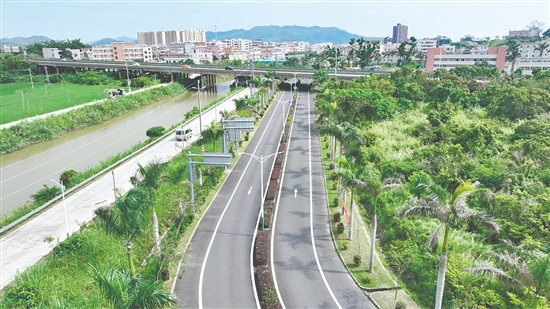 台山聚焦高快速公路出入口、枢纽互通、服务区、国省道干线等关键节点，全域推进公路沿线绿化品质提质升级。