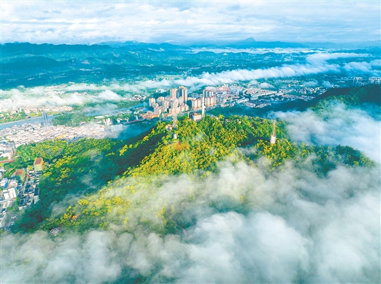 鳌峰山森林公园是恩平面积最大的综合性公园，有着“城市绿肺”的美誉，更是明清“恩平八景”中“石神松翠”“峰山拥翠”的所在地。