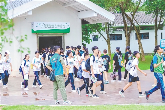 越来越多研学、旅游团队走进小鸟天堂国家湿地公园。