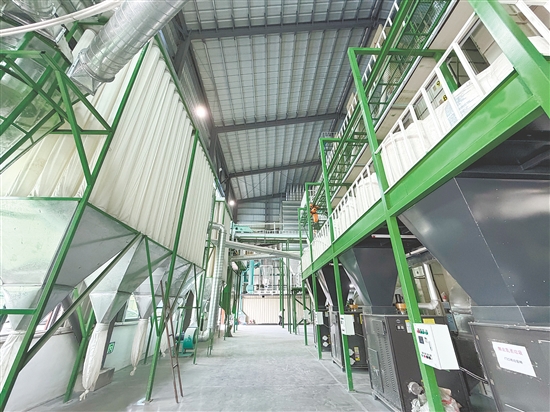 鹤山市新供销粮食产业化服务中心已建成并投入使用。