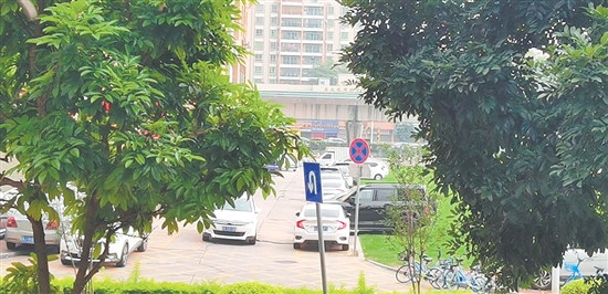 整改前——江海区君汇熙庭小区旁，汽车停在草坪上，导致草坪损坏。
