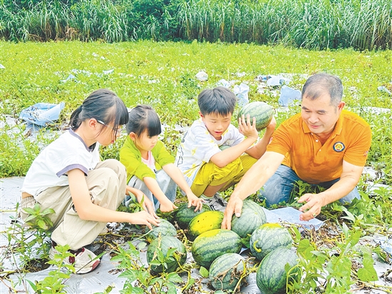孩子们在农场体验有机作物采摘，谭林盛为大家讲解有机农业知识。