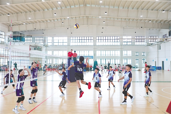台山市派出3所学校共5支代表队参加广东省小学生排球锦标赛。