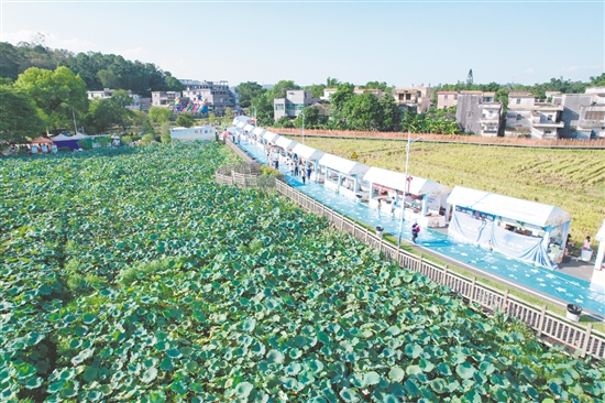 荷花嘉年华精心策划多项特色活动，为市民、游客带来沉浸式体验。