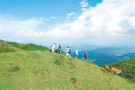 牛塘山被誉为“广东武当山”，山上草甸的美景令人心驰神往，是广大户外爱好者的必选之地。