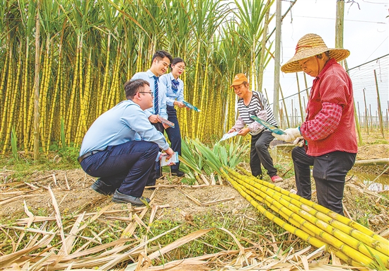 建设银行江门市分行工作人员主动上门对接农户金融需求。