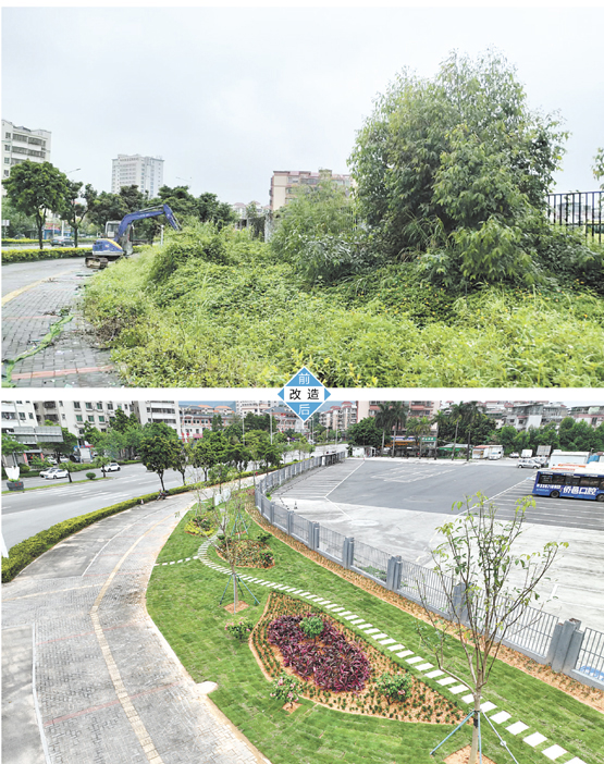 从江门大道辅道进入杜阮北一路的转角处，曾是一片850平方米的荒废边角地。改造后，这里焕然一新——人行道完成修复，平整的草坪搭配错落的花木，微地形景观起伏有致。