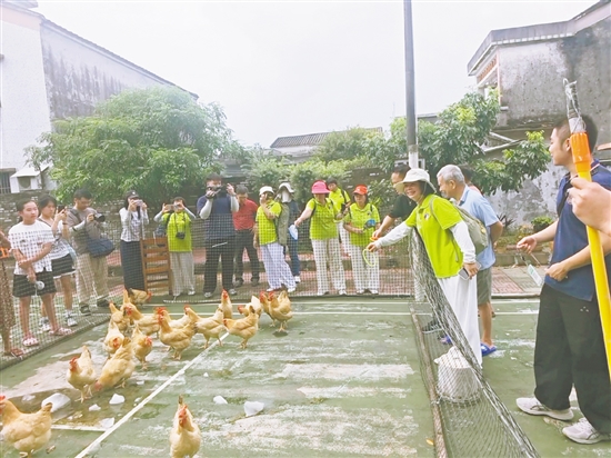 当天活动现场设有趣味游戏，吸引市民游客体验。