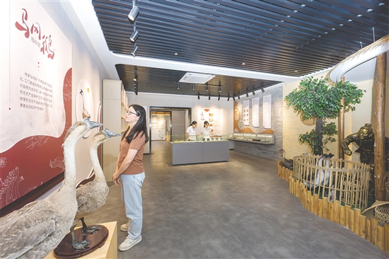 马冈肉鹅地理标志文化馆展示了马冈鹅的历史底蕴与产业发展成果。