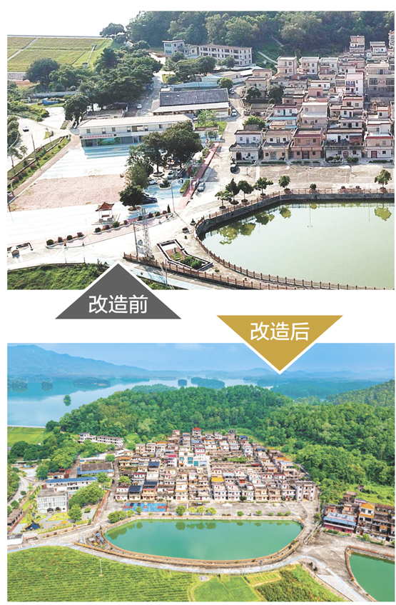 改造后的“百千万工程”典型村红丰村。