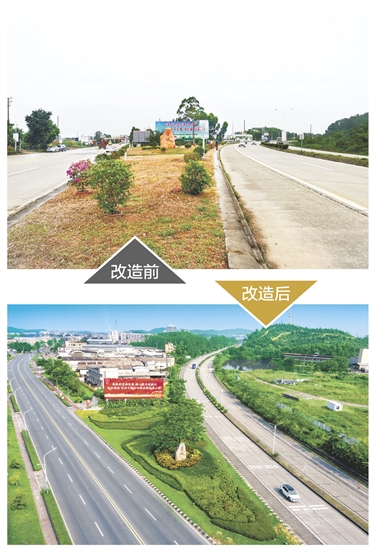 苍城镇美丽乡镇入口通道设双向四车道与人行道，配套碧道、照明、景观绿化带，是展示苍城形象的窗口。