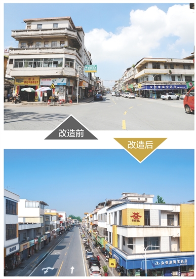 苍城镇美丽示范主街全长560米，沿街商铺涵盖商超、餐饮、百货等，是镇内人气最集中的核心消费区。