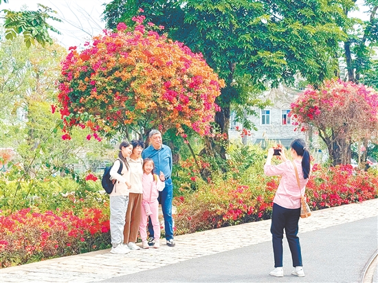三月赏花游成江门旅游热点。