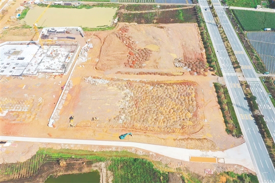 江门市JCR2025-65（开平06）号地。