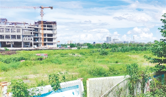 江门市JCR2025-100（新会18）号地。