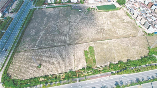 今年9月,开平市富元房地产开发有限公司以总价1.1亿元拿下开平市长沙街道楼冈大道24号地块。 今年9月,开平市富元房地产开发有限公司以总价1.1亿元拿下开平市长沙街道楼冈大道24号地块。